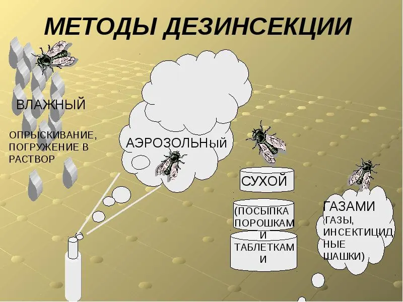 Интересная информация службы дезинсекции - Услуги дезинсекции